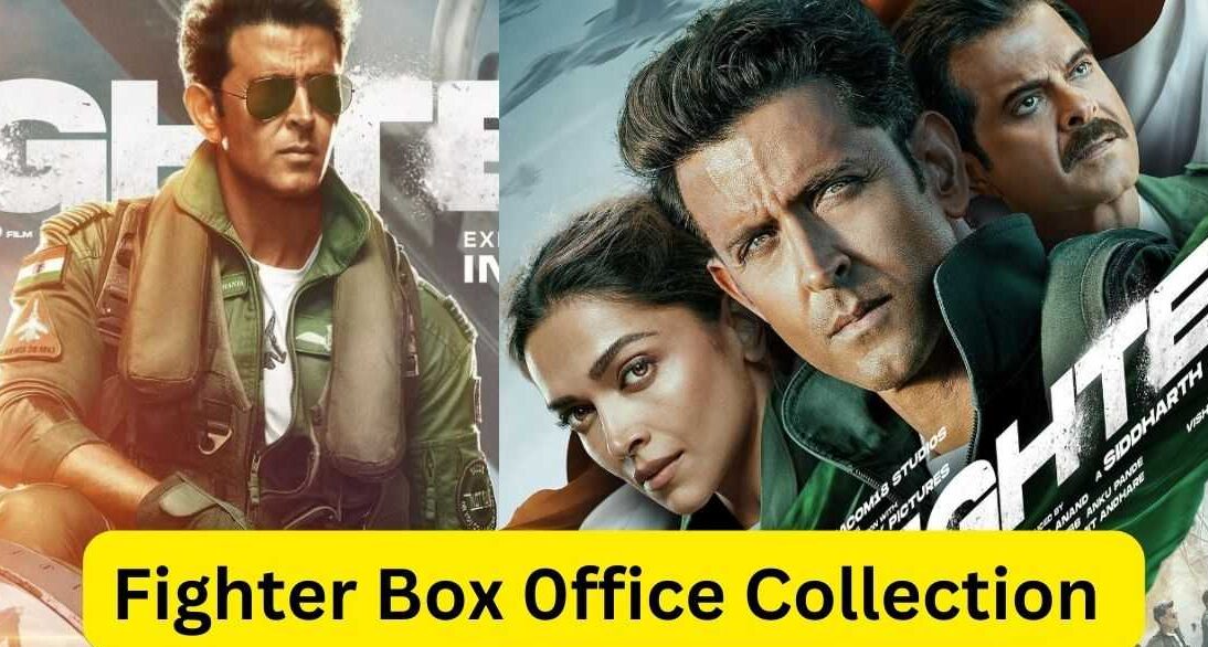 Fighter Box office Collection